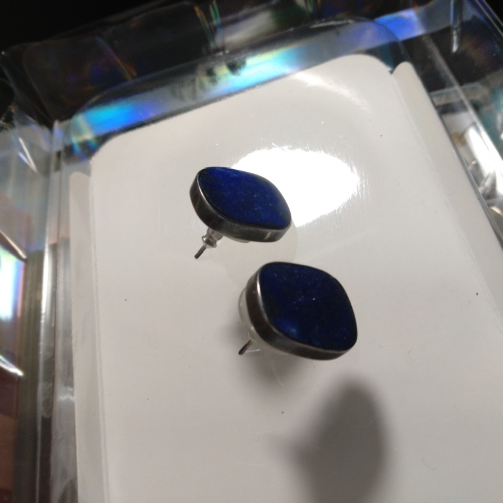 Elegant Blue and Silver Stud Earrings